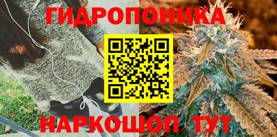 трава Комсомольск-на-Амуре