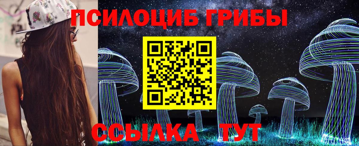 Псилоцибиновые грибы GOLDEN TEACHER Волгодонск